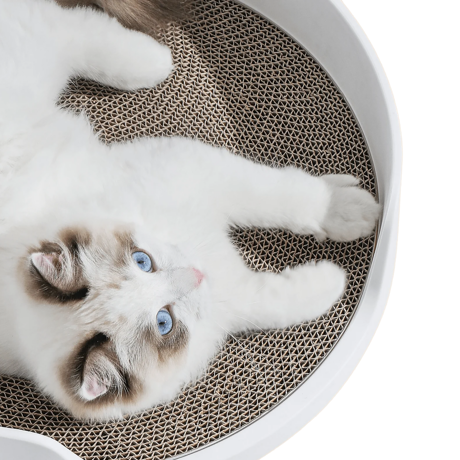 Scratching mat for the Petlux Castle litter box