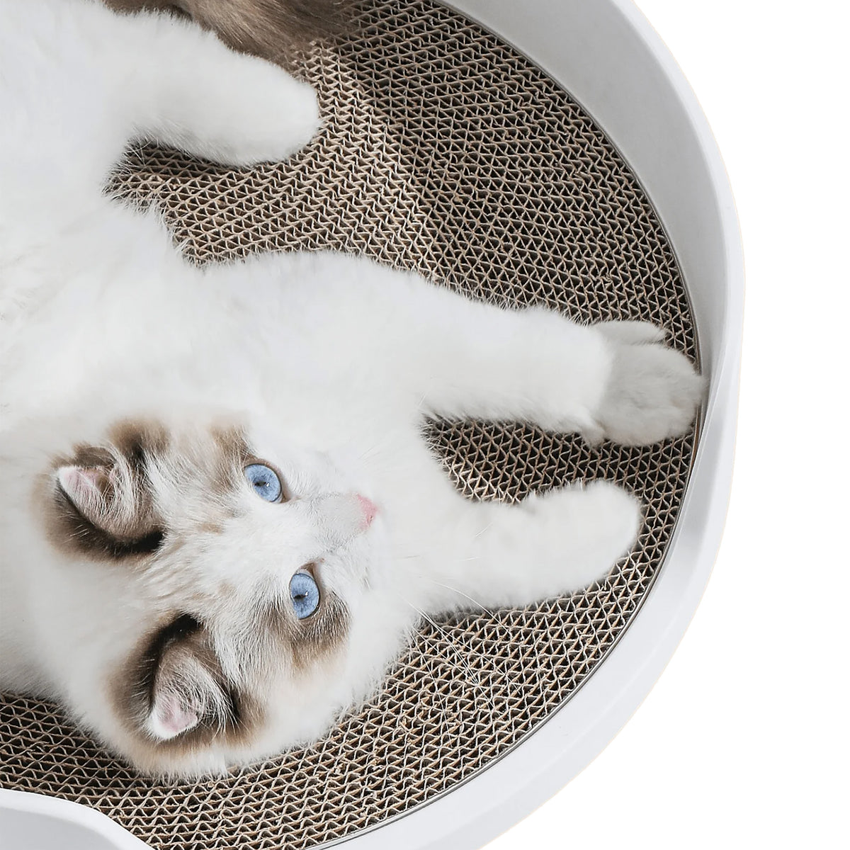 Scratching mat for the Petlux Castle litter box