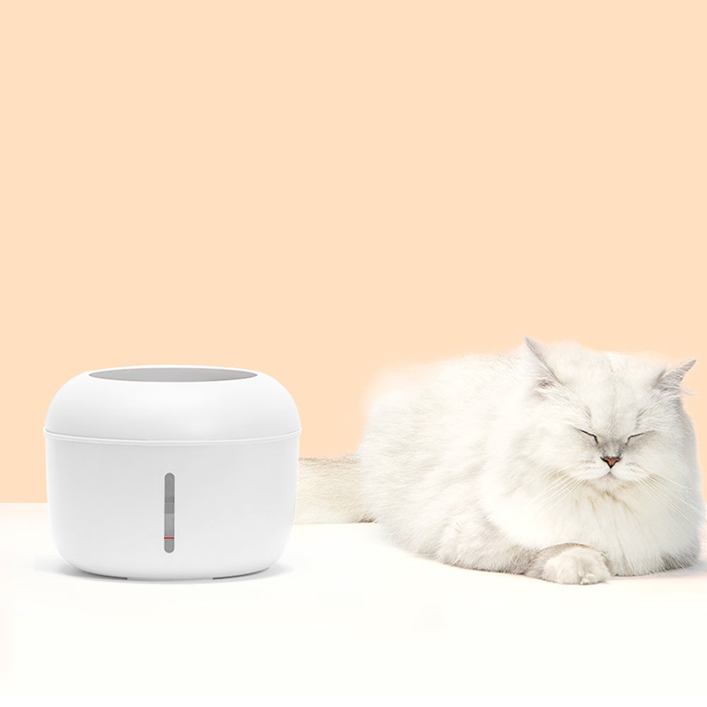 Drinking fountain with filter