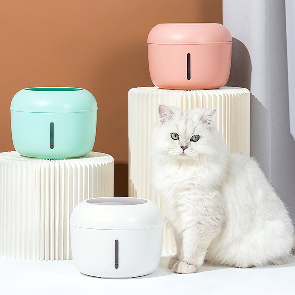 Drinking fountain with filter