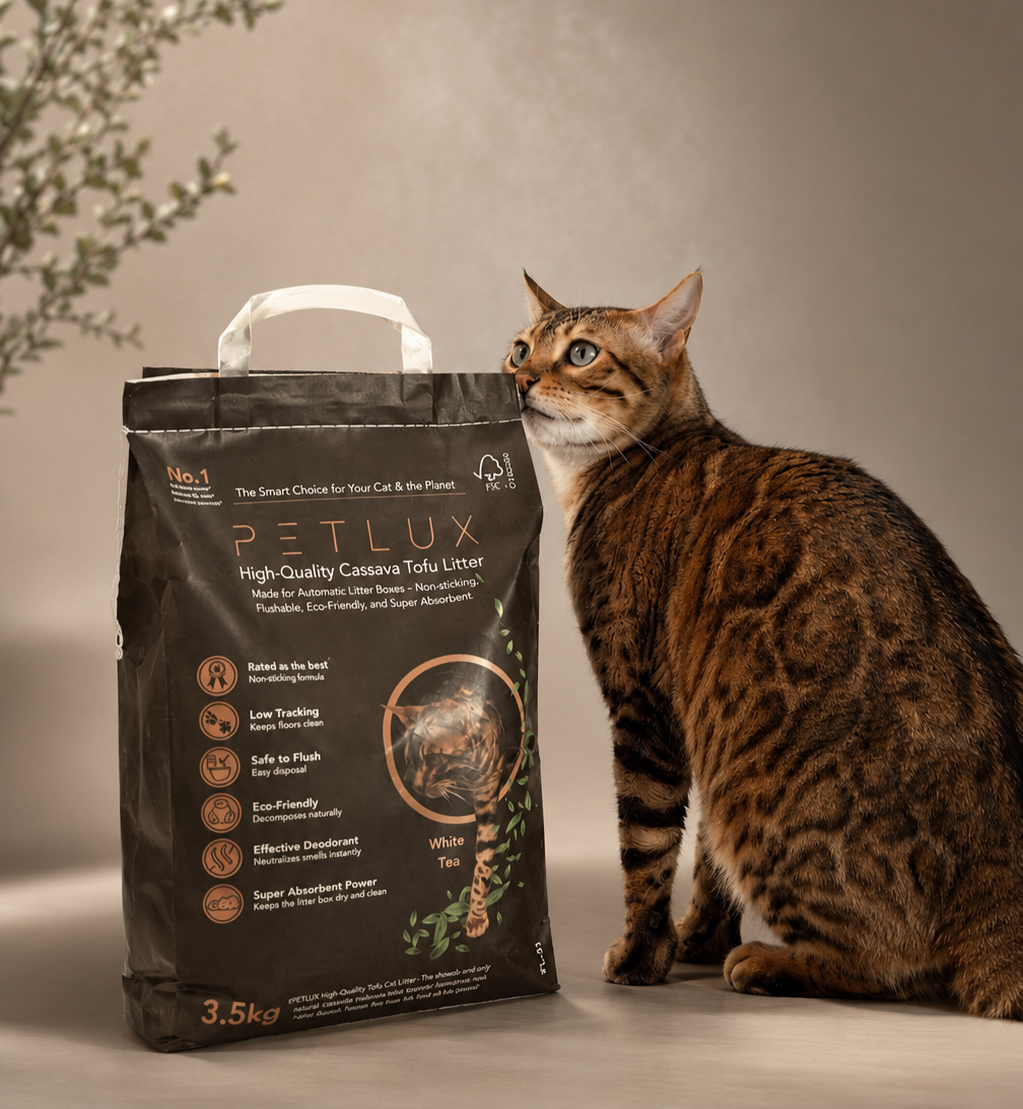 Beste stofvrije kattenbakvulling kiezen