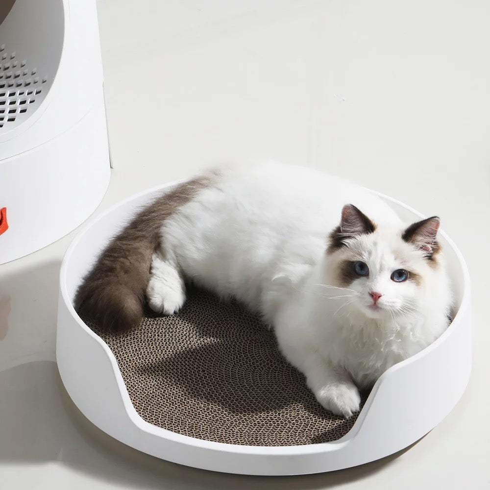 Design Katzentoilette Schloss 2-in-1